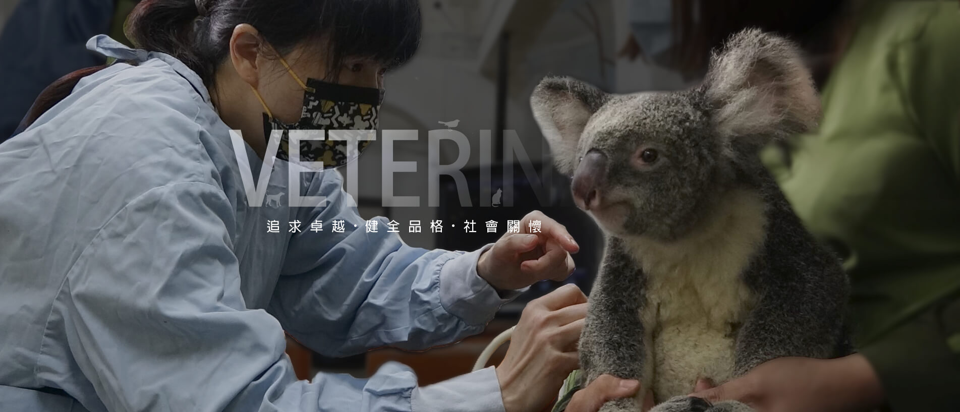 臺大獸醫學院特寵照護